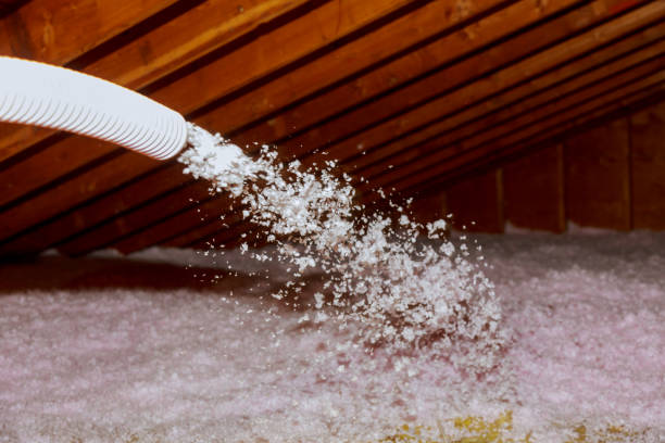 Best Attic Insulation Installation  in USA